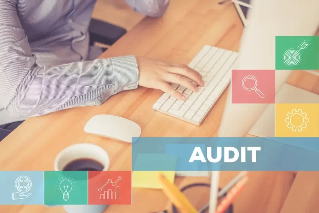 professional seo vs DIY Auditing Tools!