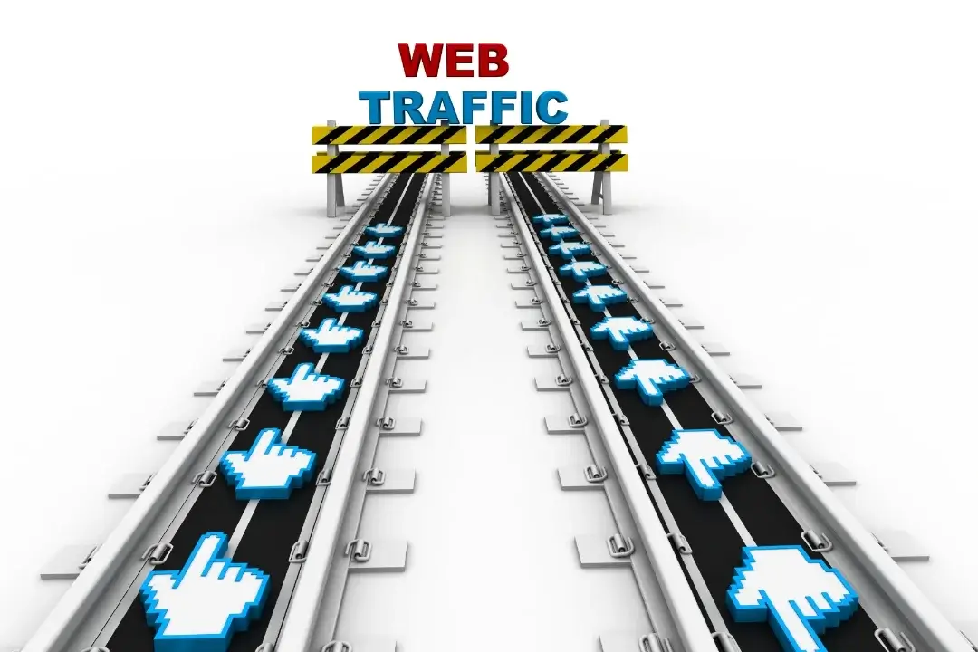 Website's Organic Traffic